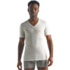 Icebreaker Men's Merino Anatomica Short Sleeve V Neck T-Shirt