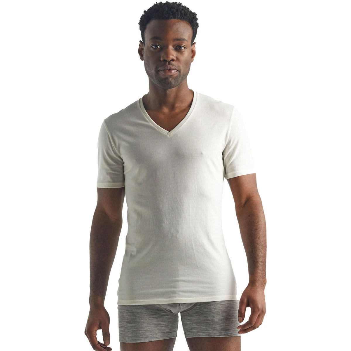 Icebreaker Men's Merino Anatomica Short Sleeve V Neck T-Shirt 1 Icebreaker Men's Merino Anatomica Short Sleeve V Neck T-Shirt
