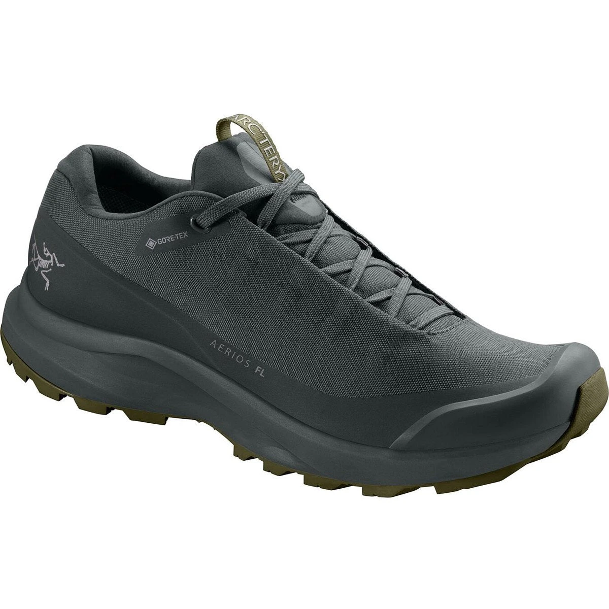 Arcteryx Men's Aerios FL GTX Shoe 1 Arcteryx Men's Aerios FL GTX Shoe