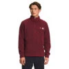 The North Face Men's Gordon Lyons Quarter-Zip